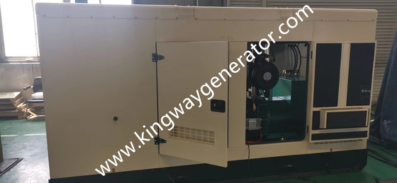 Gaz Isı Pompası Klima için 250KVA Doğal Gaz Cummins 200kw Jeneratör Sessiz