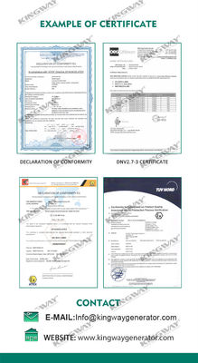 Offshore Platform Canopy 25kva 400v 50hz 3 faz 4 kablo patlama geçirmez dizel motor ATEX sertifikalı bölge 2 offshore jeneratörü