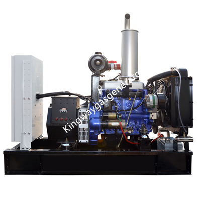 20KW 25KVA Sessiz Çift Yakıtlı Dizel ve Biyogaz Jeneratör Seti Cummins Motor
